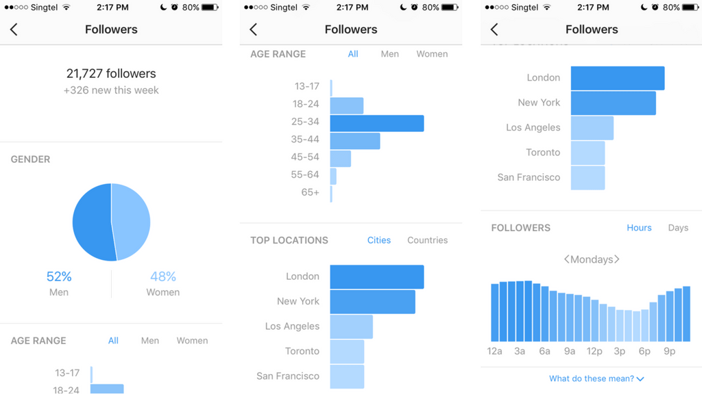 Instagram Audience Analytics